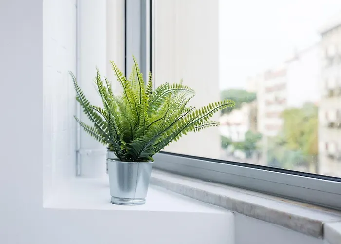 Guestready - Music Flats 2 شقة بورتو