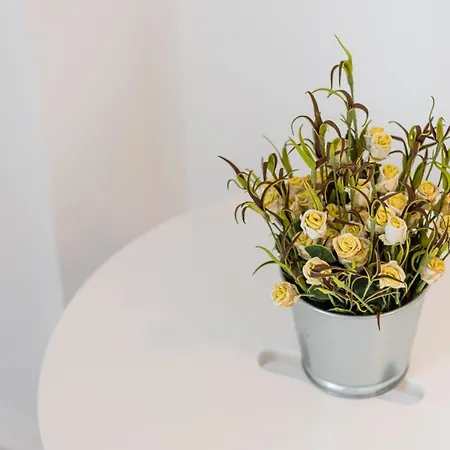 Guestready - Music Flats 2 דירה פורטו